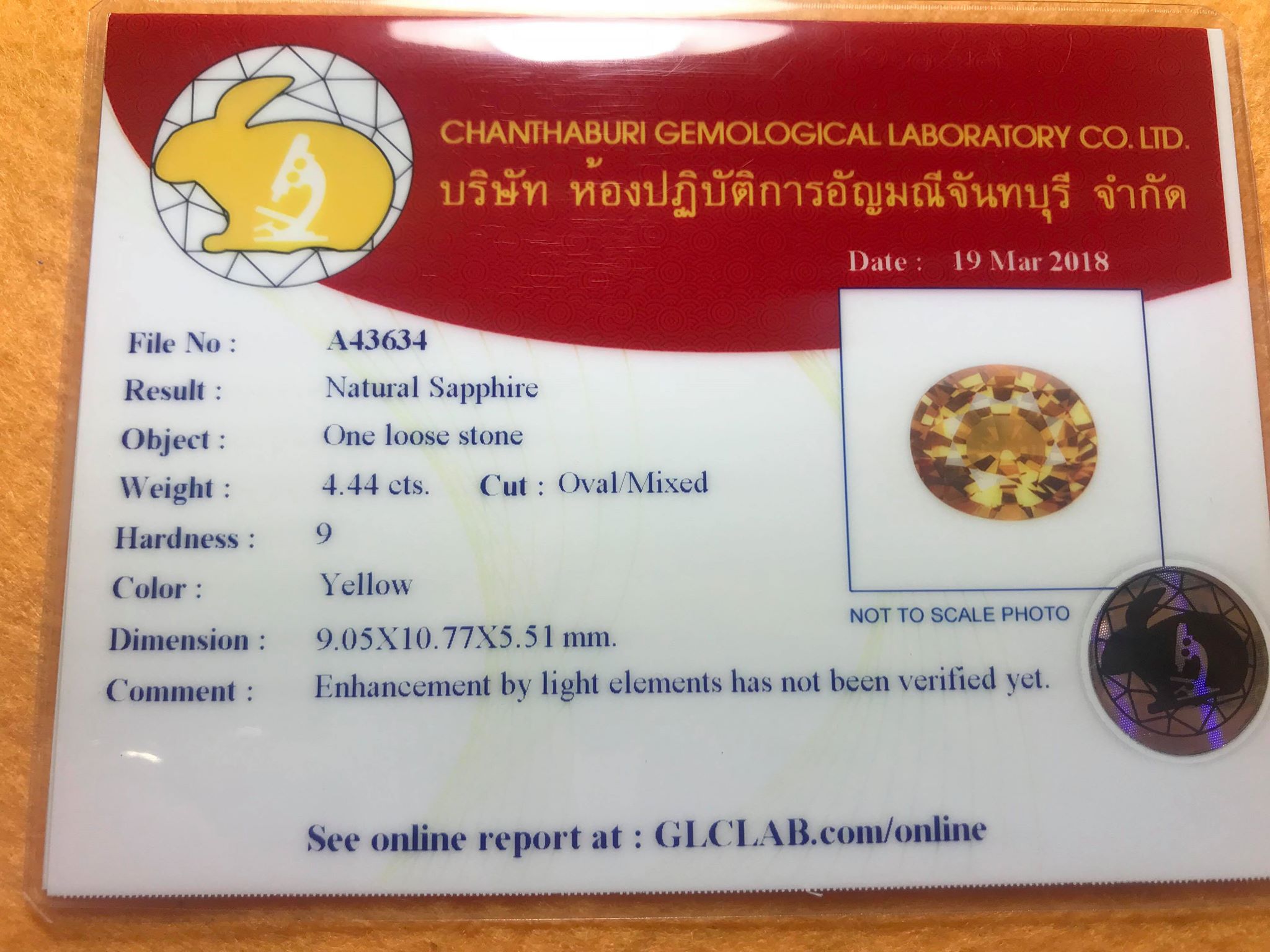 พลอยคู่ใบเซอร์