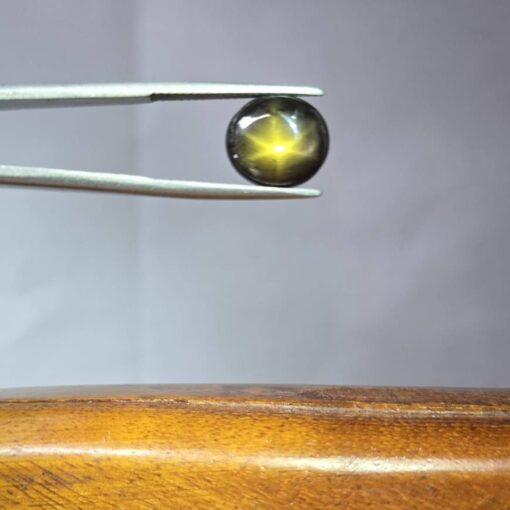 T01
